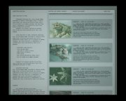 产品目录1(2026年版)