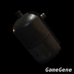 燃料