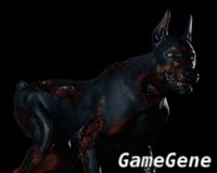 丧尸犬