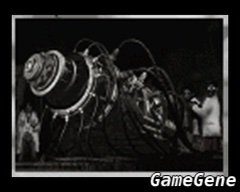 极秘档案照片